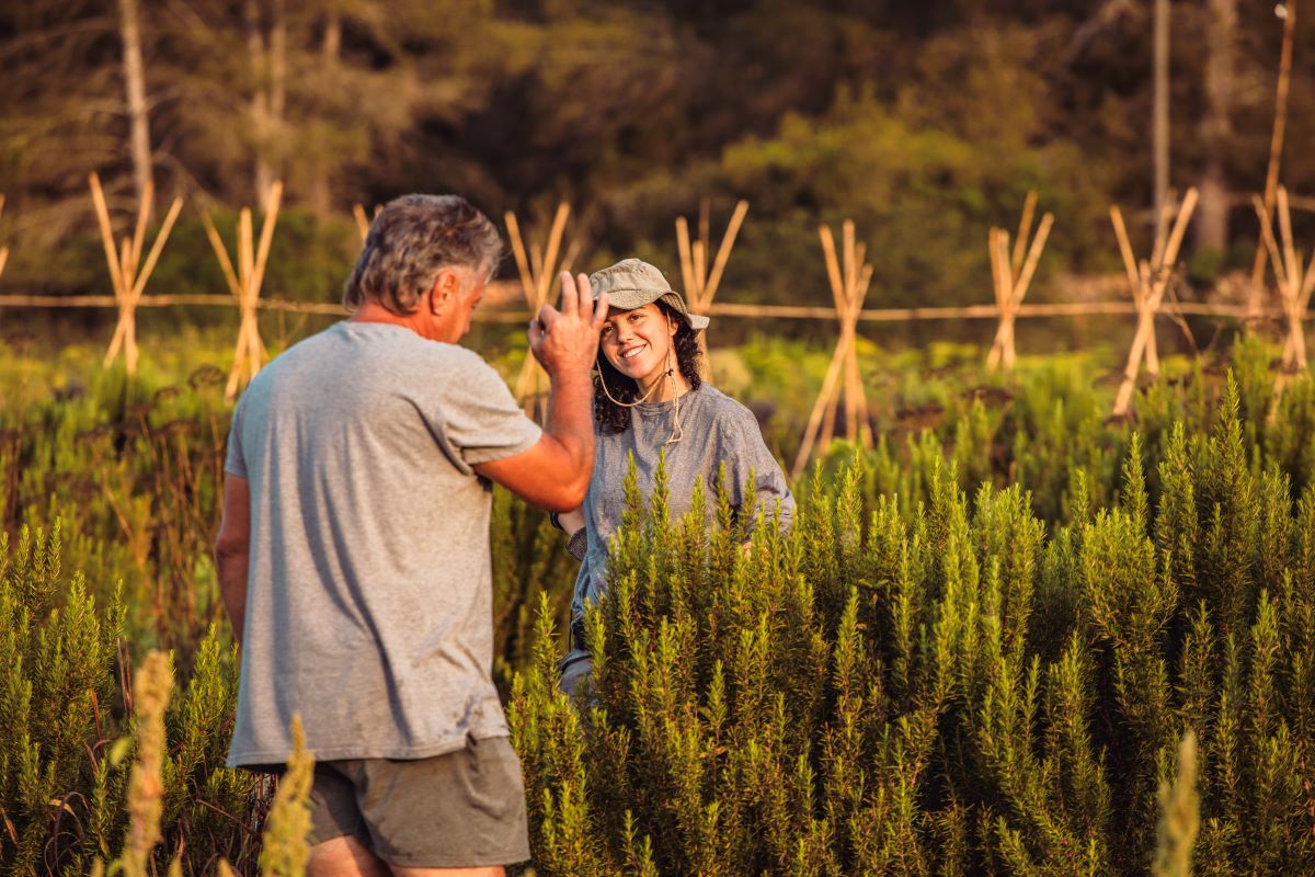 Future Harvest: the European programme tackling the decline in generational renewal in farming