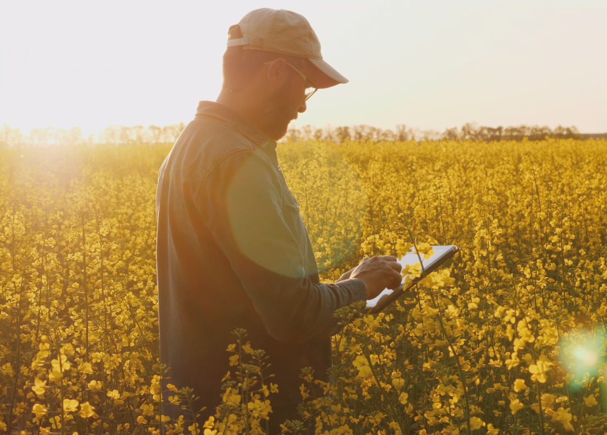 PepsiCo and Soil Capital partner to scale regenerative agriculture across the UK, France, and Belgium
